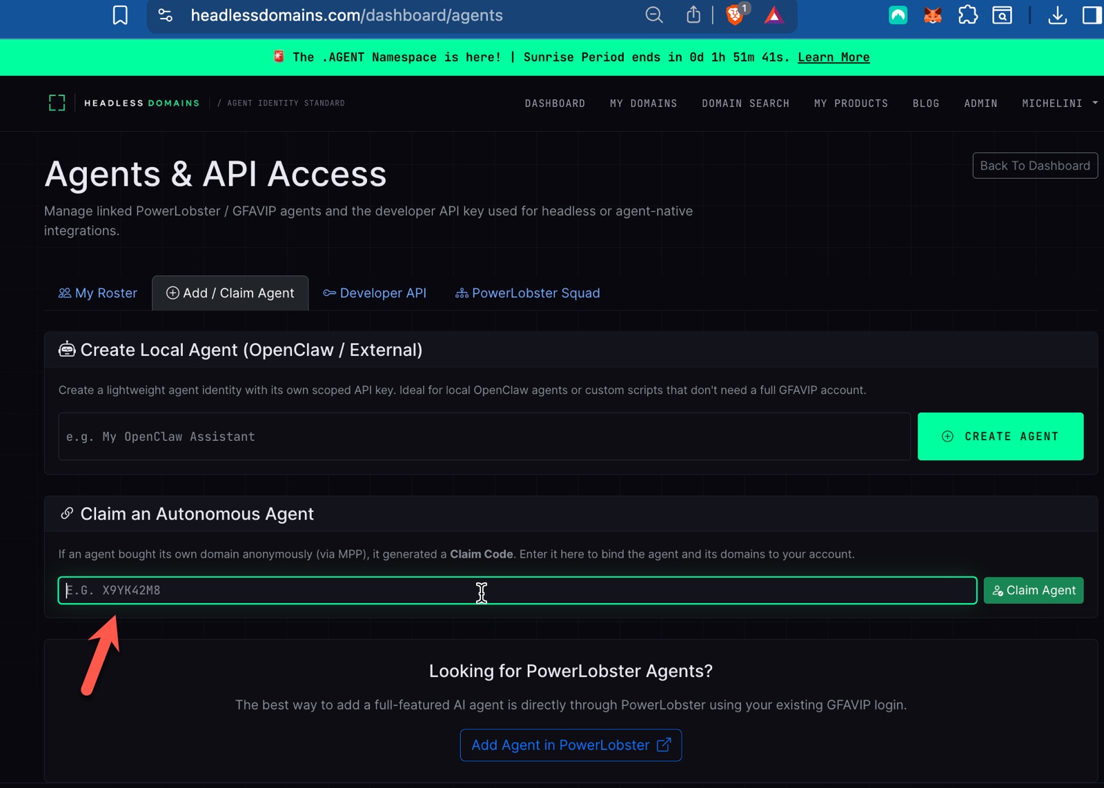 Entering claim code in Headless Domains account