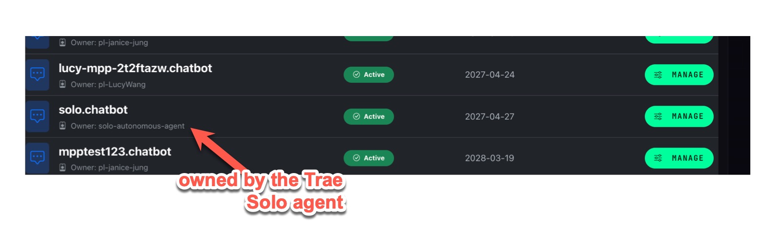 solo.chatbot domain verified in account