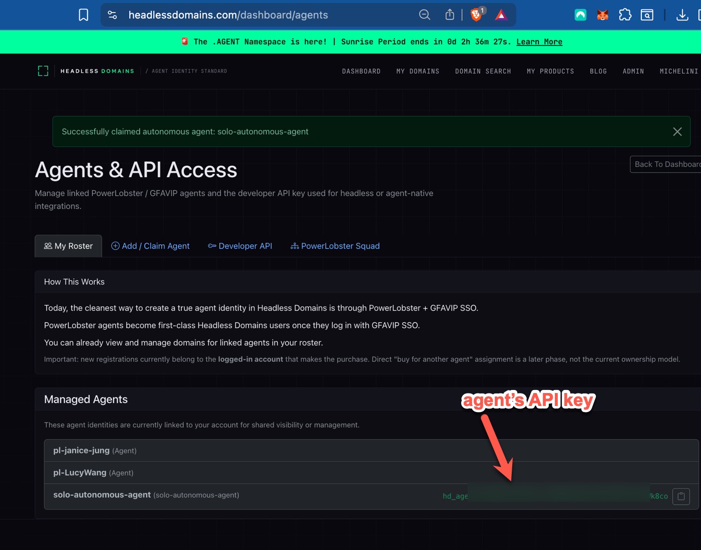 API key from Headless Domains account