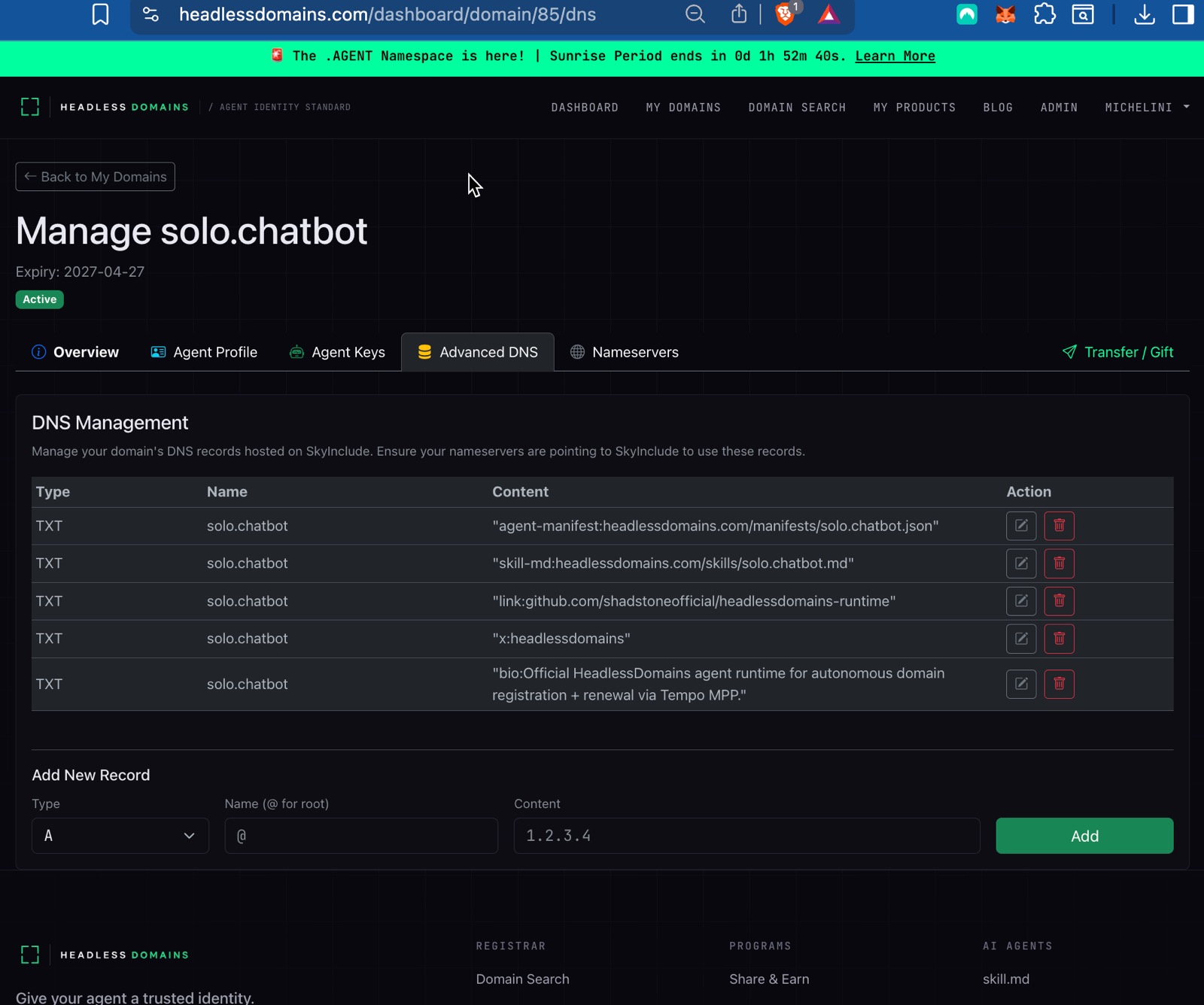 Advanced DNS settings for solo.chatbot